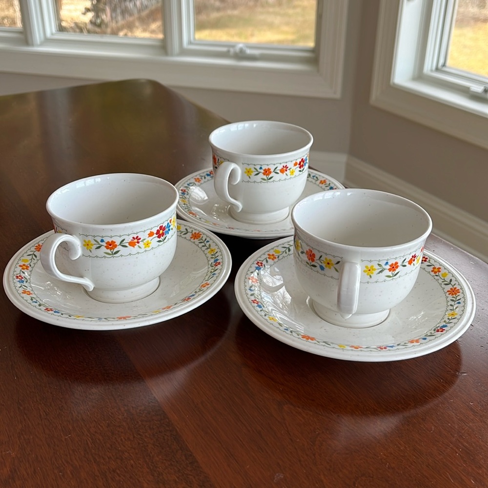Versatone by Noritake Footed Cup and Saucers Happy Talk 307W10
